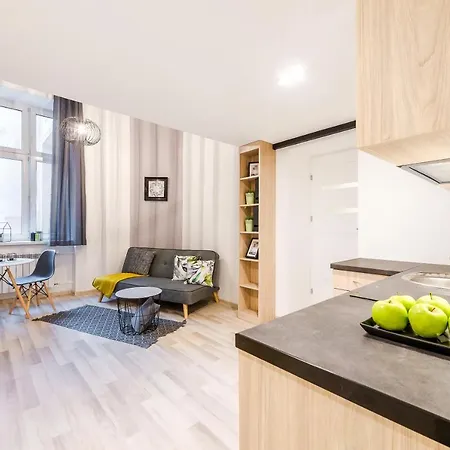 Citystay Narutowicza Apartament *